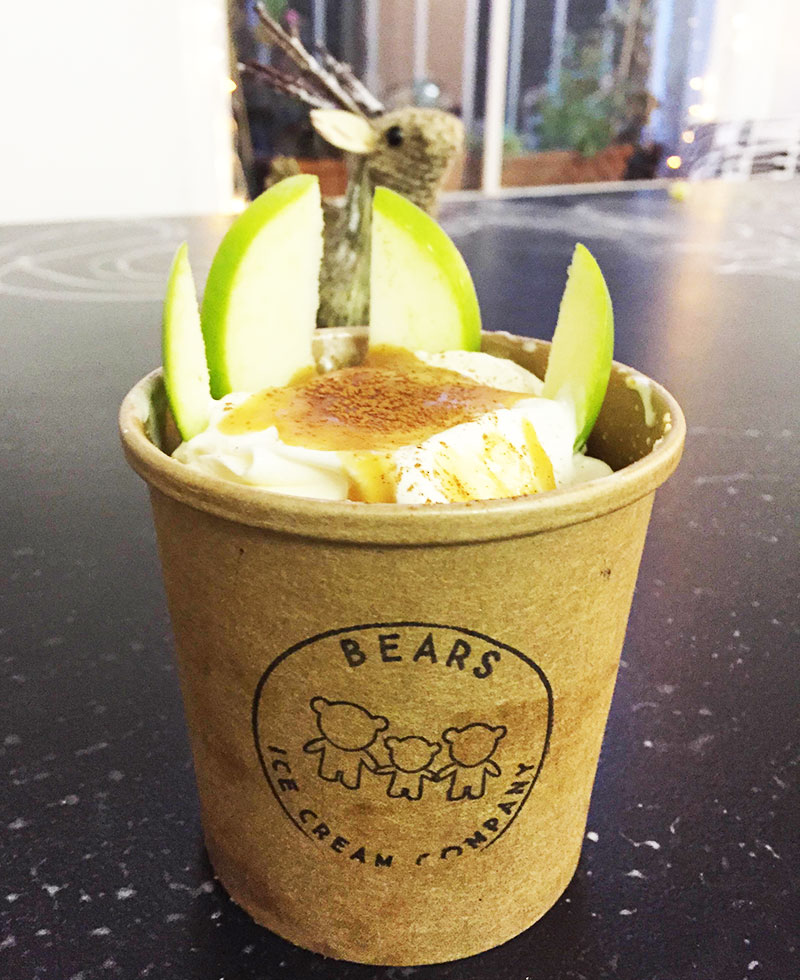 Food Bears Ice Cream Company — VVNightingale