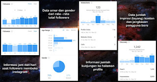 Contoh Gambar Statistik Insight Instagram Business