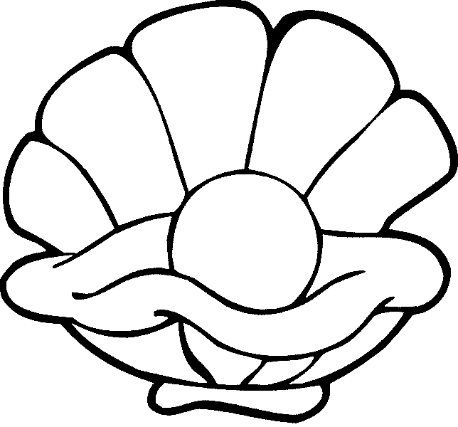 los dibujos para colorear dibujos de conchas de mar para colorear