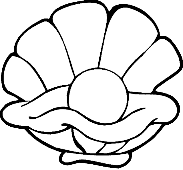 Los dibujos para colorear : Dibujos de conchas de mar para ... Los dibujos para colorear : Dibujos de conchas de mar para ...