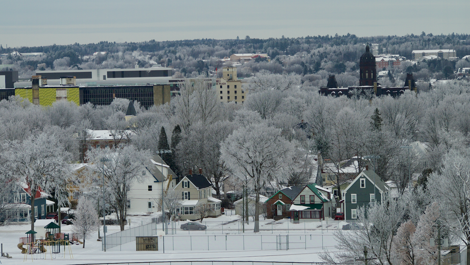 Frozen Fog In Fredericton A Rare Sight Adi's Blog