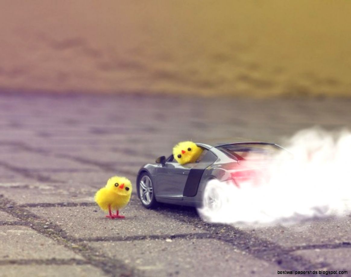 Funny Chick Car Desktop Background  Desktop Backgrounds HQ