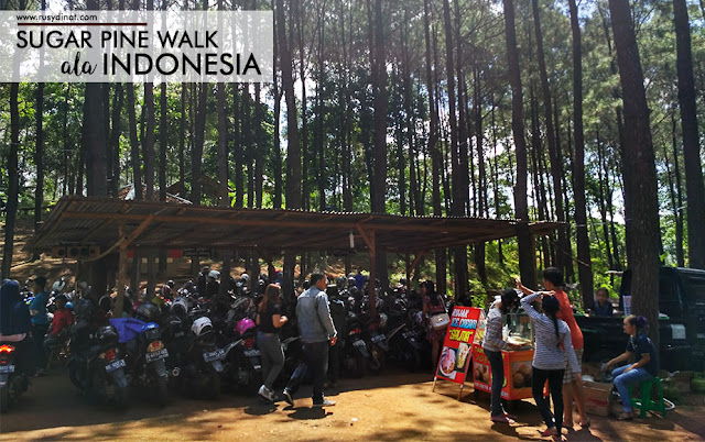Wisata alam di Indonesia, Hutan Pinus Yogyakarta, tempat rekreasi keluarga