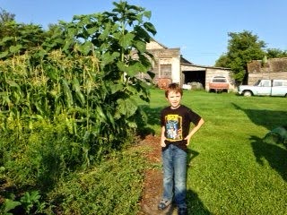 Garden Bounty