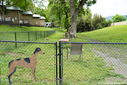 Flying Flags Dog Park Buellton California Weekend Getaway