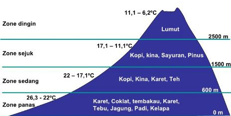 Klasifikasi Iklim Menurut Junghuhn Terlengkap