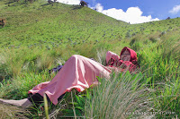 Pendakian Gunung Merbabu Via Selo