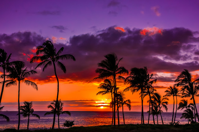 Luxury Hotel Stay in Hawaii