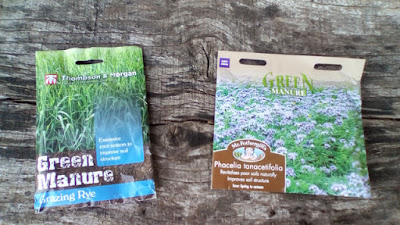 Green Manure Seeds The 80 Minute Allotment Green Fingered Blog