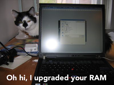 oh-hi-i-upgraded-your-ram-cat-cats-kitten-kitty-pic-picture-funny-lolcat-cute-fun-lovely-photo-images-funny pictures - funny images