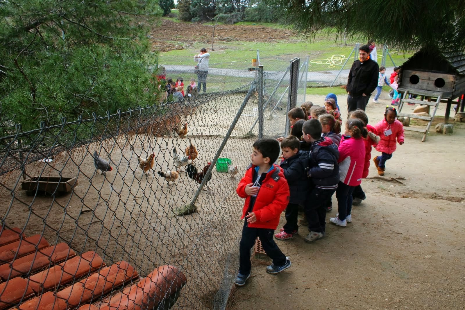 MESETA AL DIA: Infantil en la granja "El Acebo"