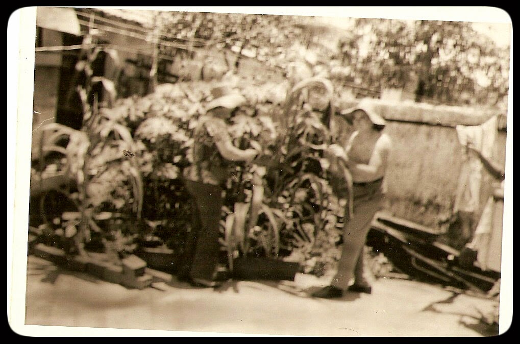 Família Coelho de Mendonça