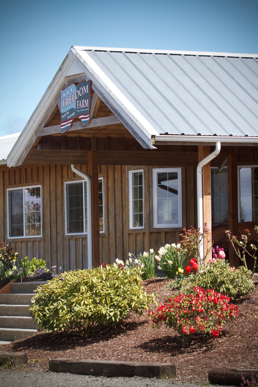 Wise Horsemanship at Freedom Farm June 2017
