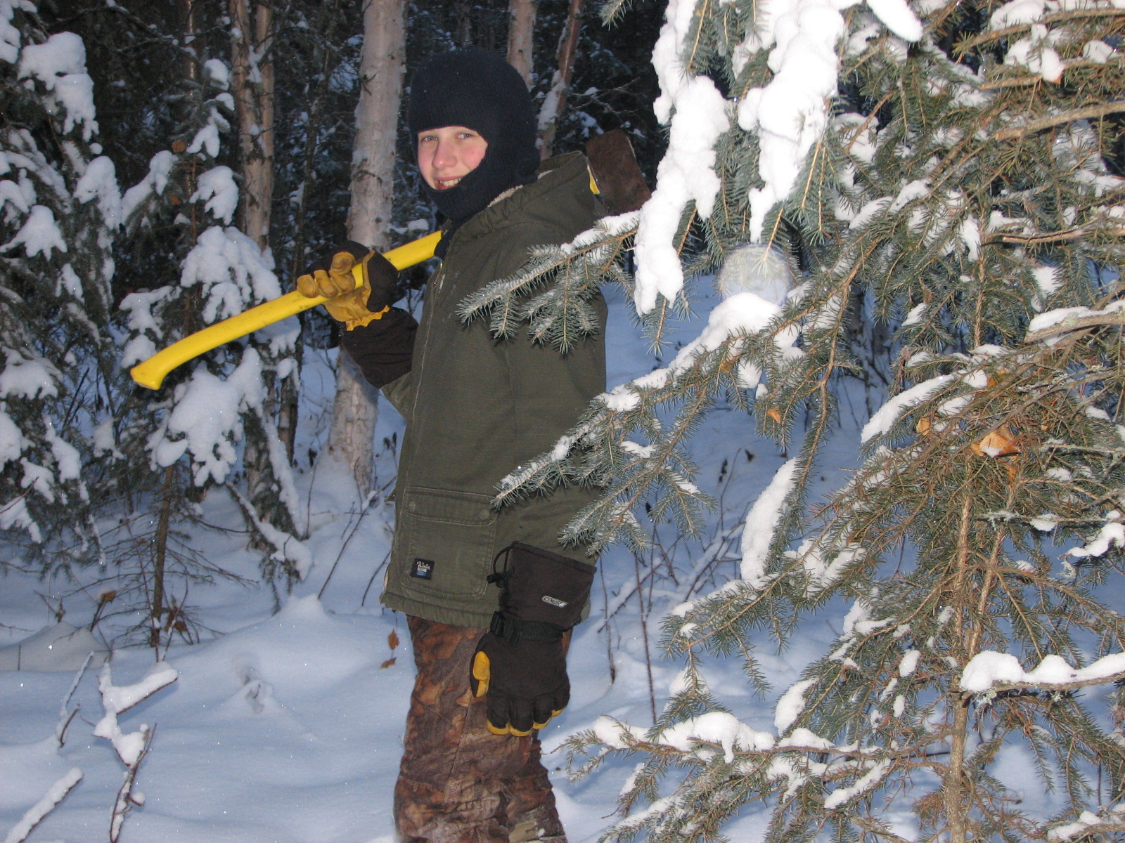 A Family is an Adventure How to Chop down a Christmas Tree