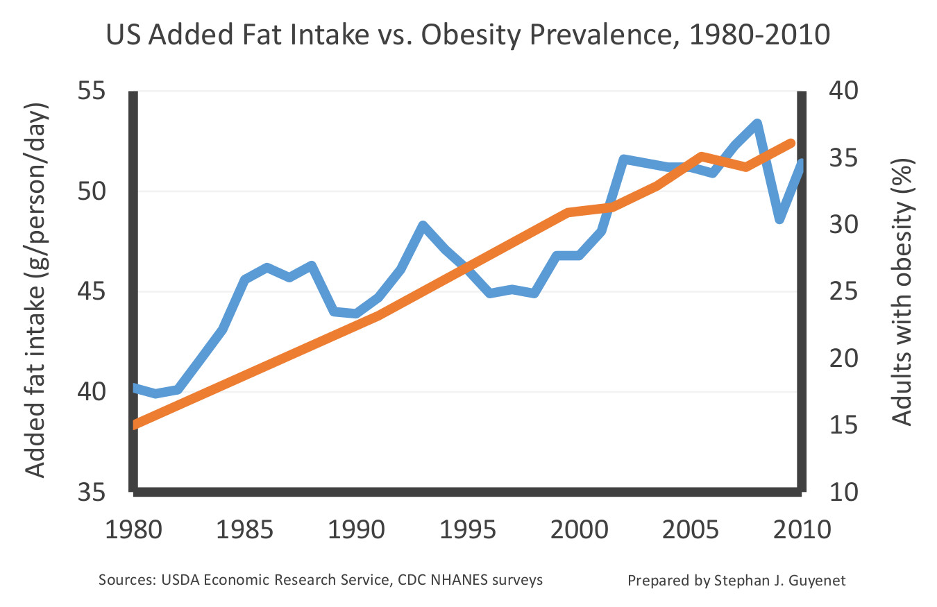 Fat Statistics In America 6