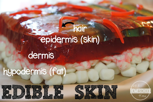 Edible Skin Science Project for kids learning about the Five Senses Edible Skin Science Project for kids learning about the Five Senses