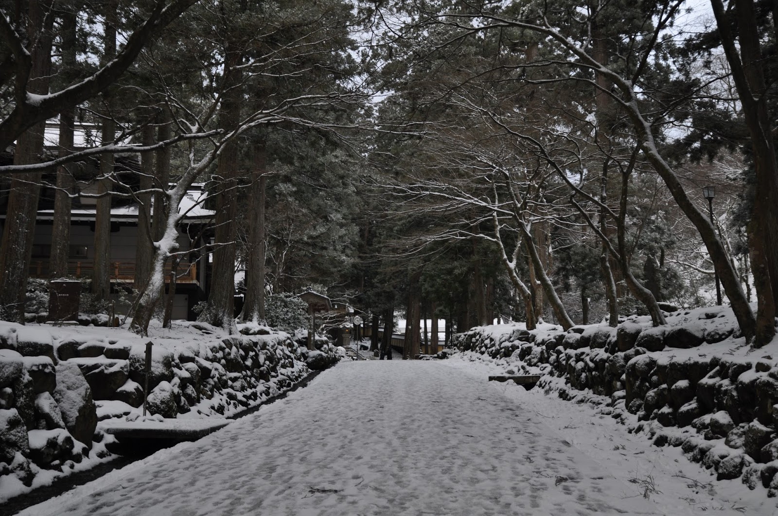 福井吉田 大本山永平寺 禪宗之曹洞宗之大本營 愛日研