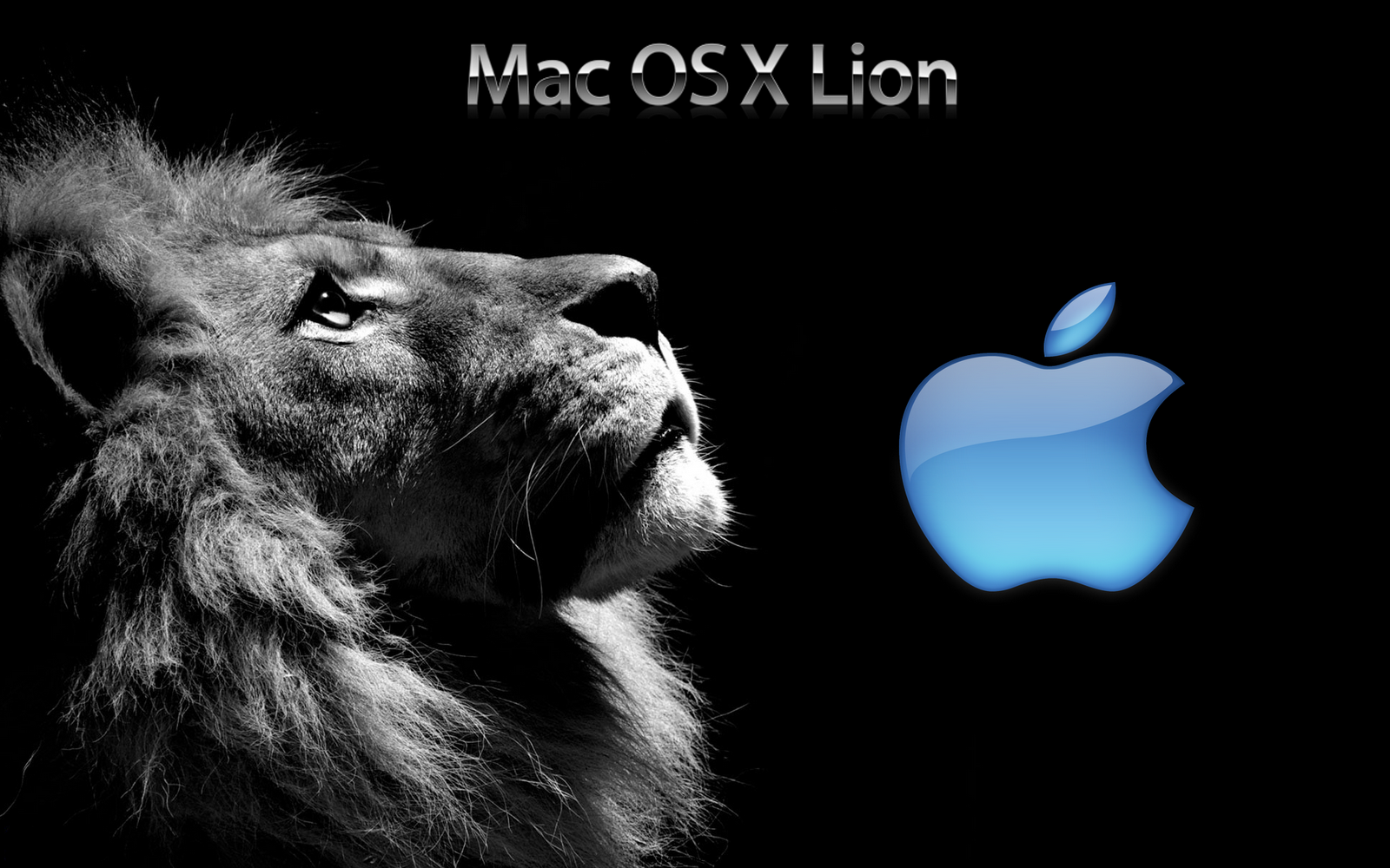 http://3.bp.blogspot.com/-xsMSGacvz5U/UD3VuZzHx4I/AAAAAAAAAR8/e1VKkAQk6kg/s1600/Lion+with+blue+colour+apple+logo+mac+os+x+lion+wallpaper+unseen.jpg