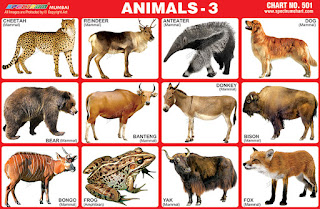 Chart contains images of different animals