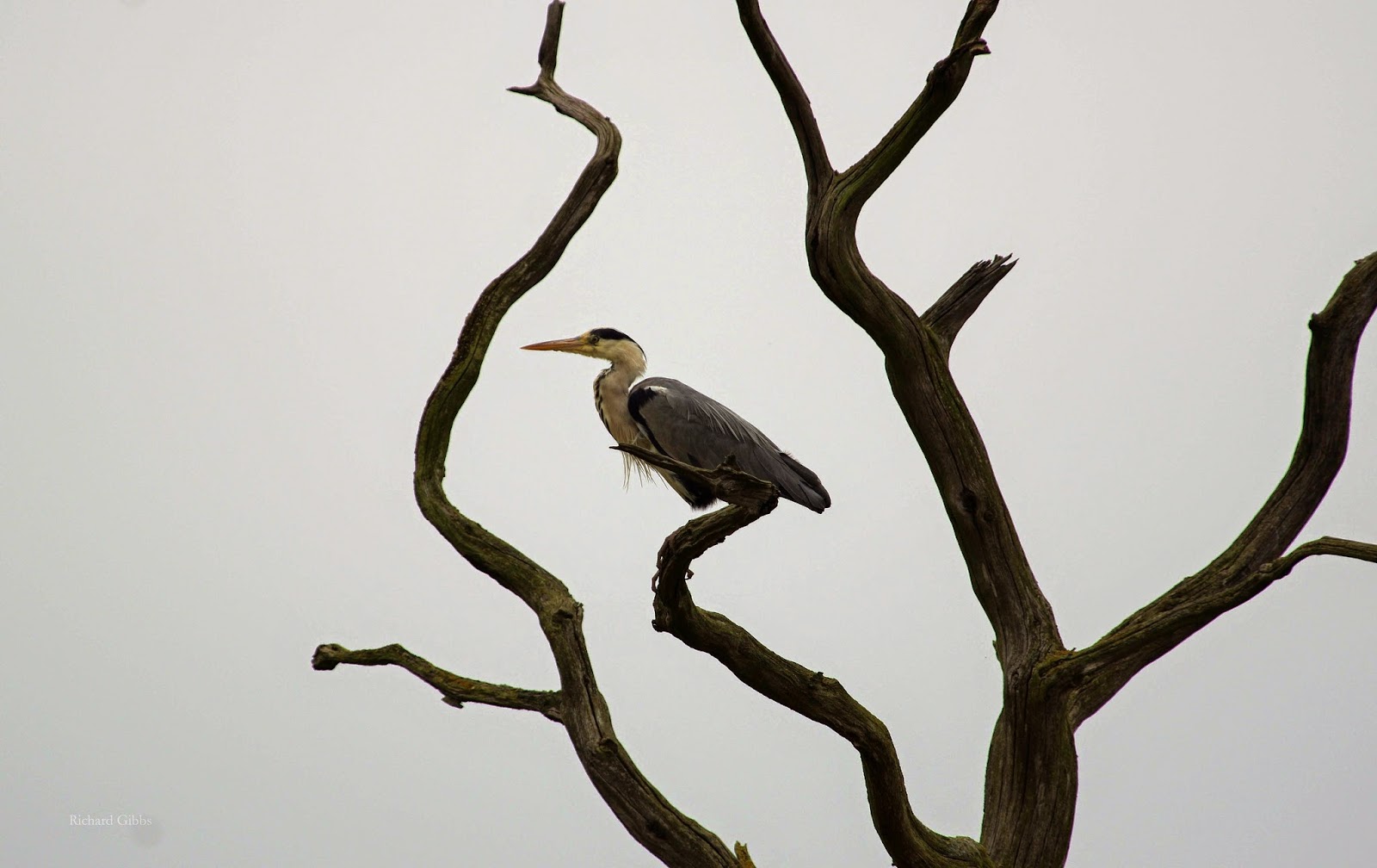 Sabina Mia My Secret Italy