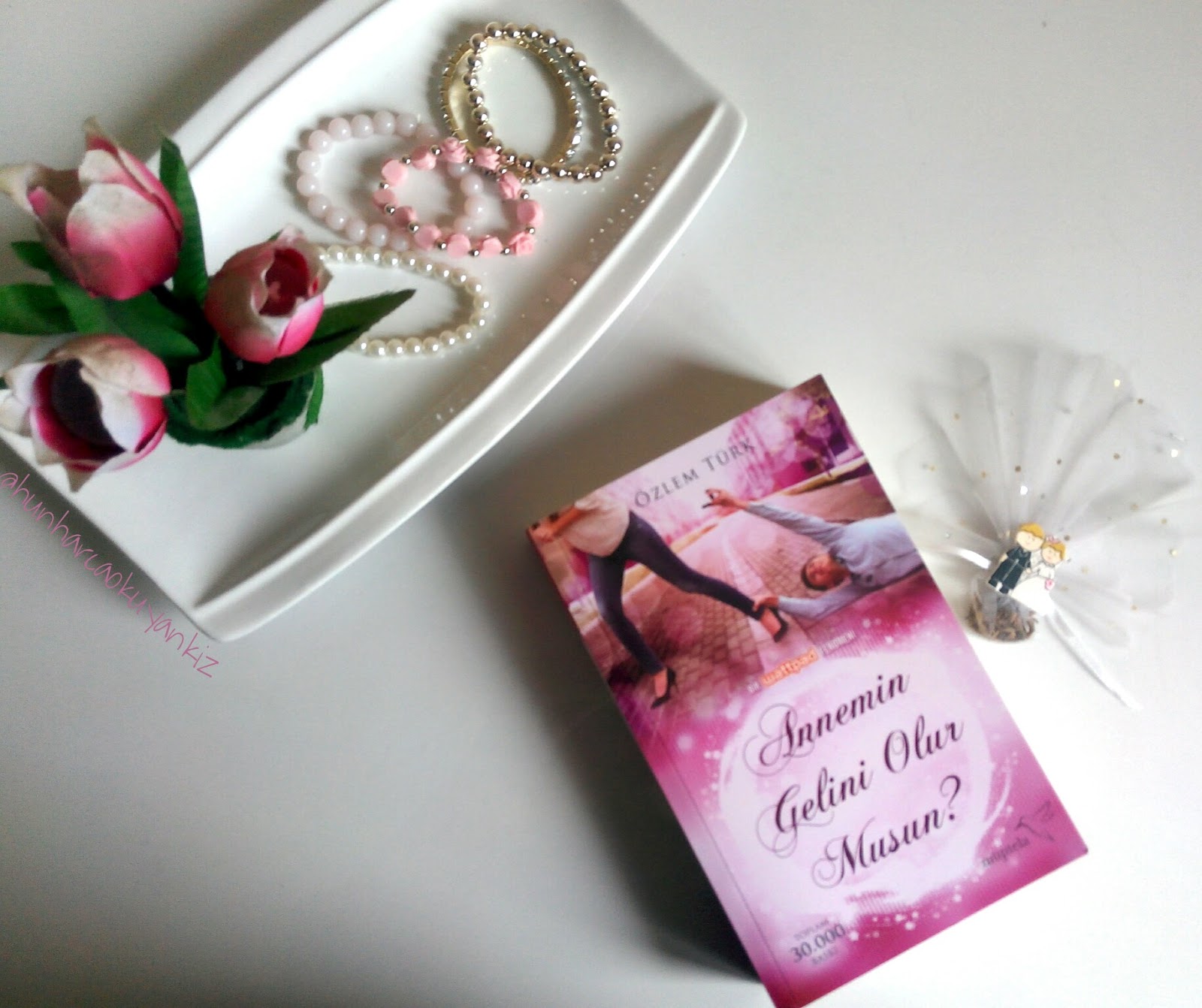 annemin gelini olur musun agom1