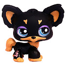 Littlest Pet Shop Multi Pack Chihuahua (#1571) Pet