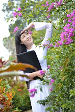 Ngàn thu áo tím