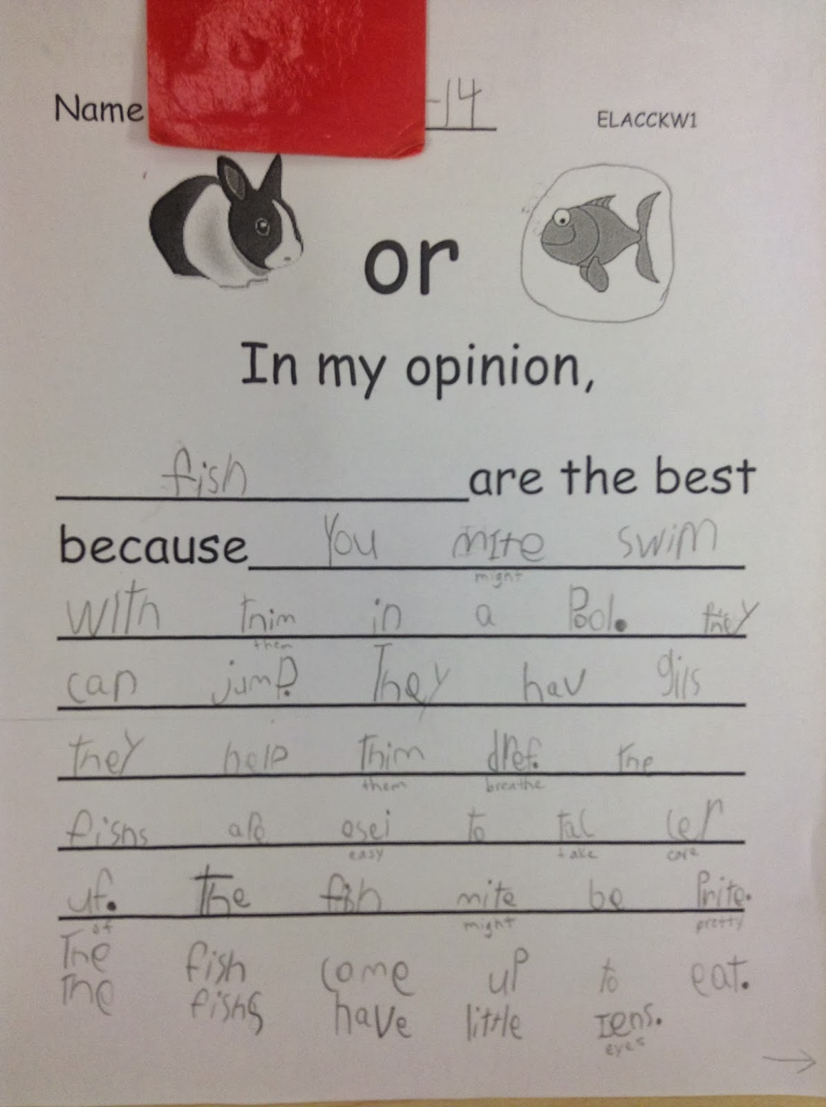 Dr Clements Kindergarten More Opinion Writing For Kindergarten
