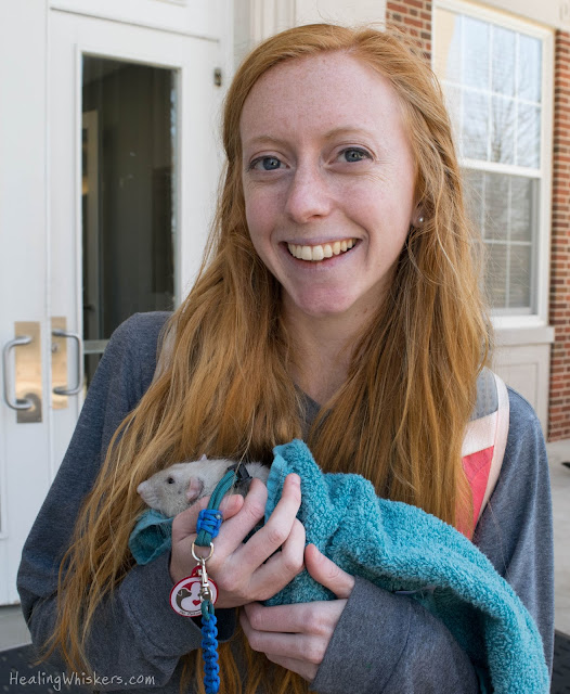Oliver the Therapy Rat being held by a student at Berry College