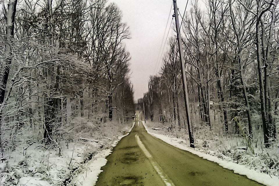 Snow covered trees along a country road in Warrenton Missouri