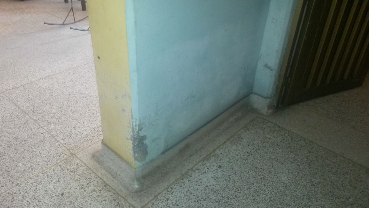 HUMEDAD EN LAS PAREDES ~ mejorando casa