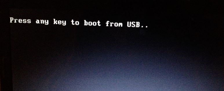 Press any key to boot from USB