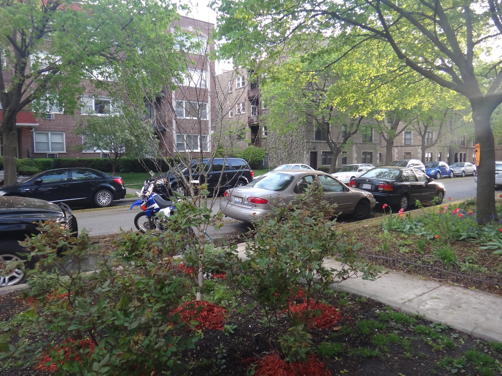 Rogers Park in 1,000 words A Walk down Jarvis Avenue Rogers Park updates