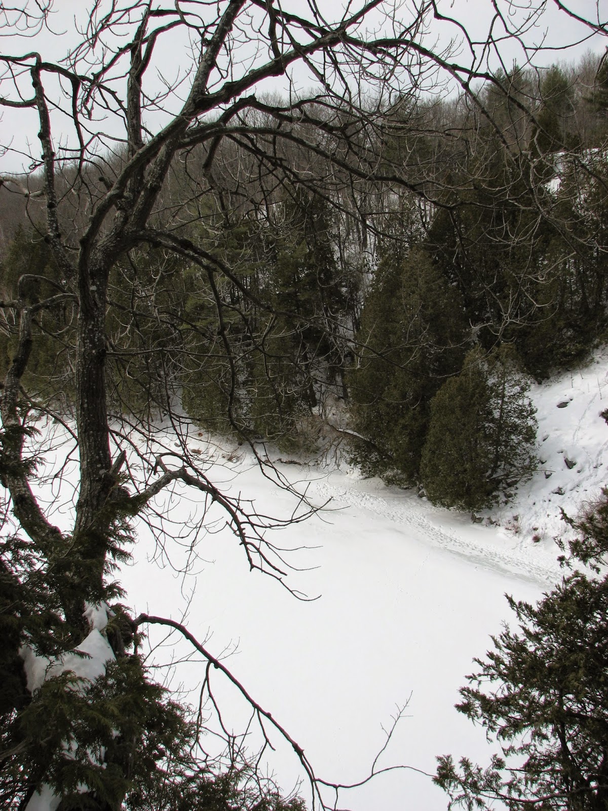 South Burlington, Vermont nature trails Winooski Overlooks ParkDon't look down! South