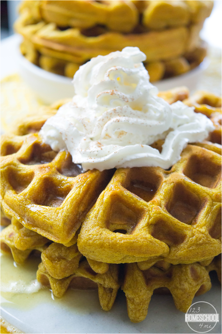 Easy to Make Pumpkin Waffles