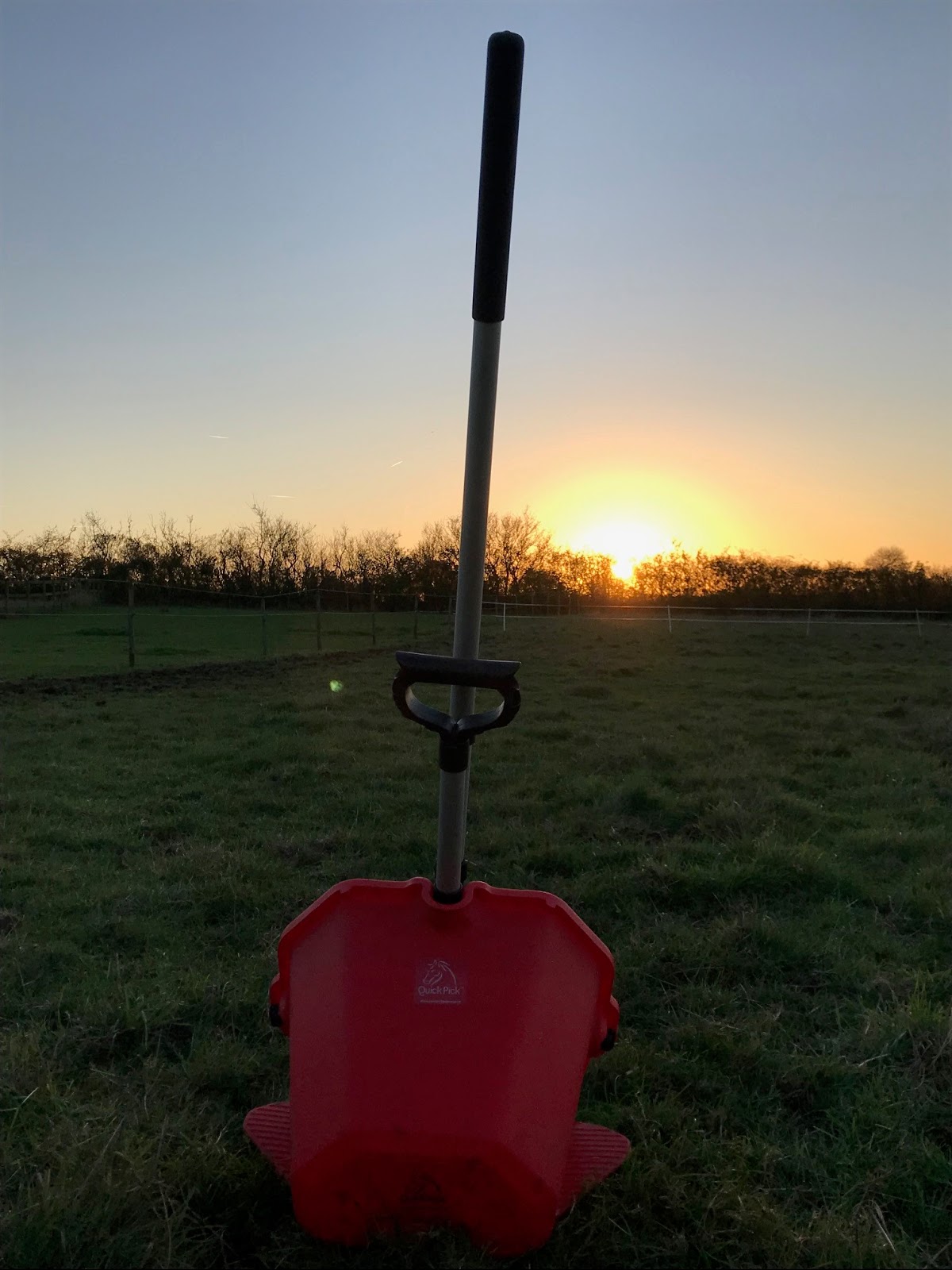 The Adventures of an Amateur Equestrian Quick Pick Equine Poo Picking
