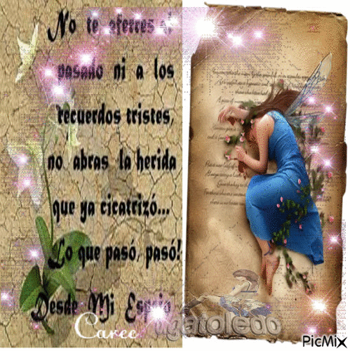 Te Amo: REFLEXIONES "GIF"