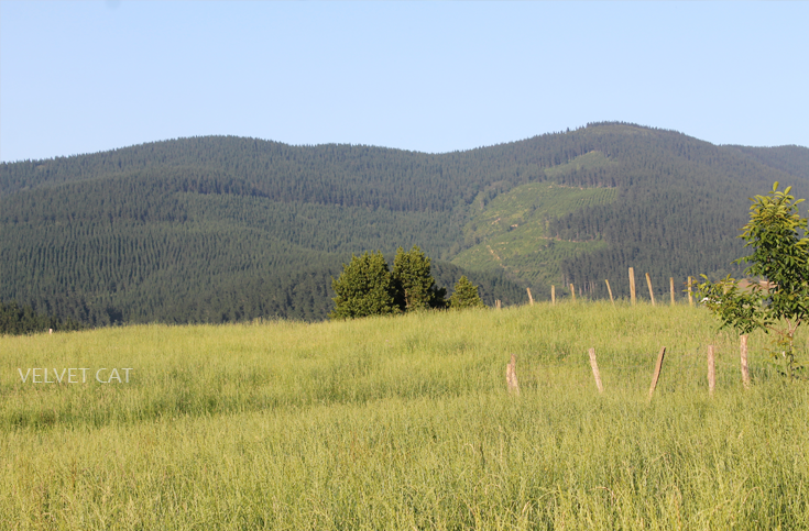Hoy compartimos tiempo de verano fotografía