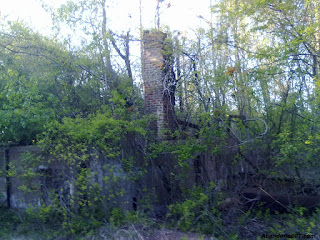 yard rail cedar hill abandoned mike pm posted