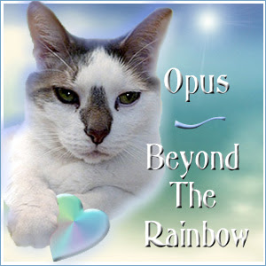 Remembering Opus
