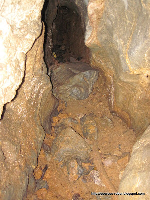 Caves in Lingyin, Hanzhou