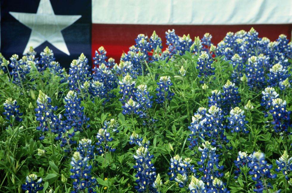 Sew Far, Sew Good: The 50 States: Texas -- Bluebonnet Apron Blouse