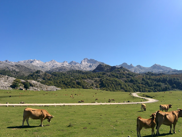 Rutas por el Concejo de Cangas de Onís