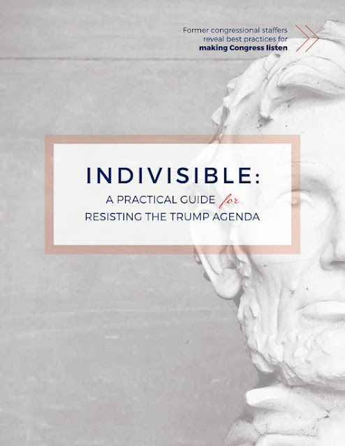 Indivisible: A Practical Guide for Resisting the Trump Agenda