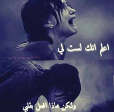 015797efd73ca873c9a2fcf5bb38ce02