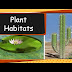 Adaptation Of Plants In Different Habitats