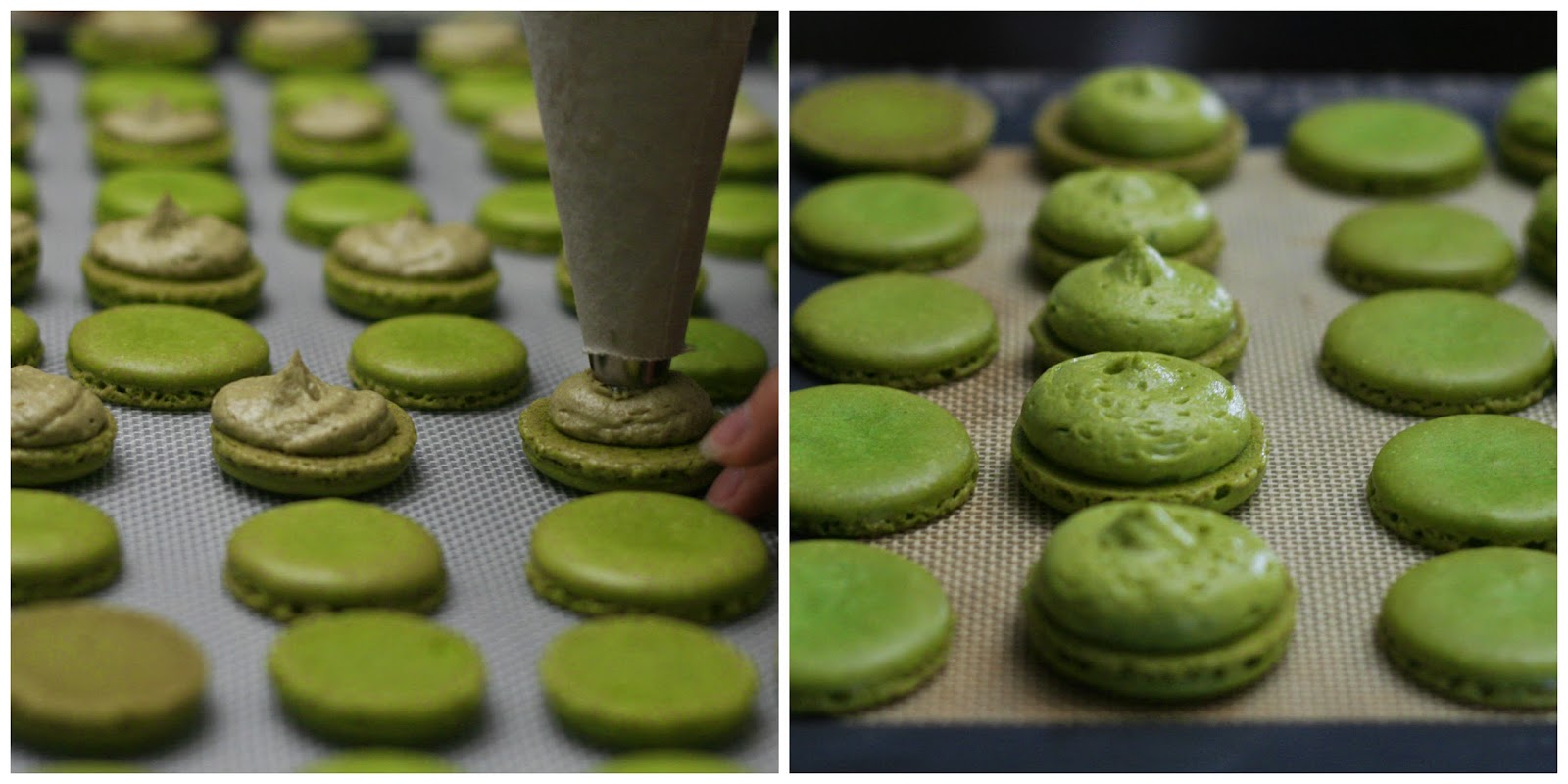 Comparing Two types of Matcha (Green Tea)