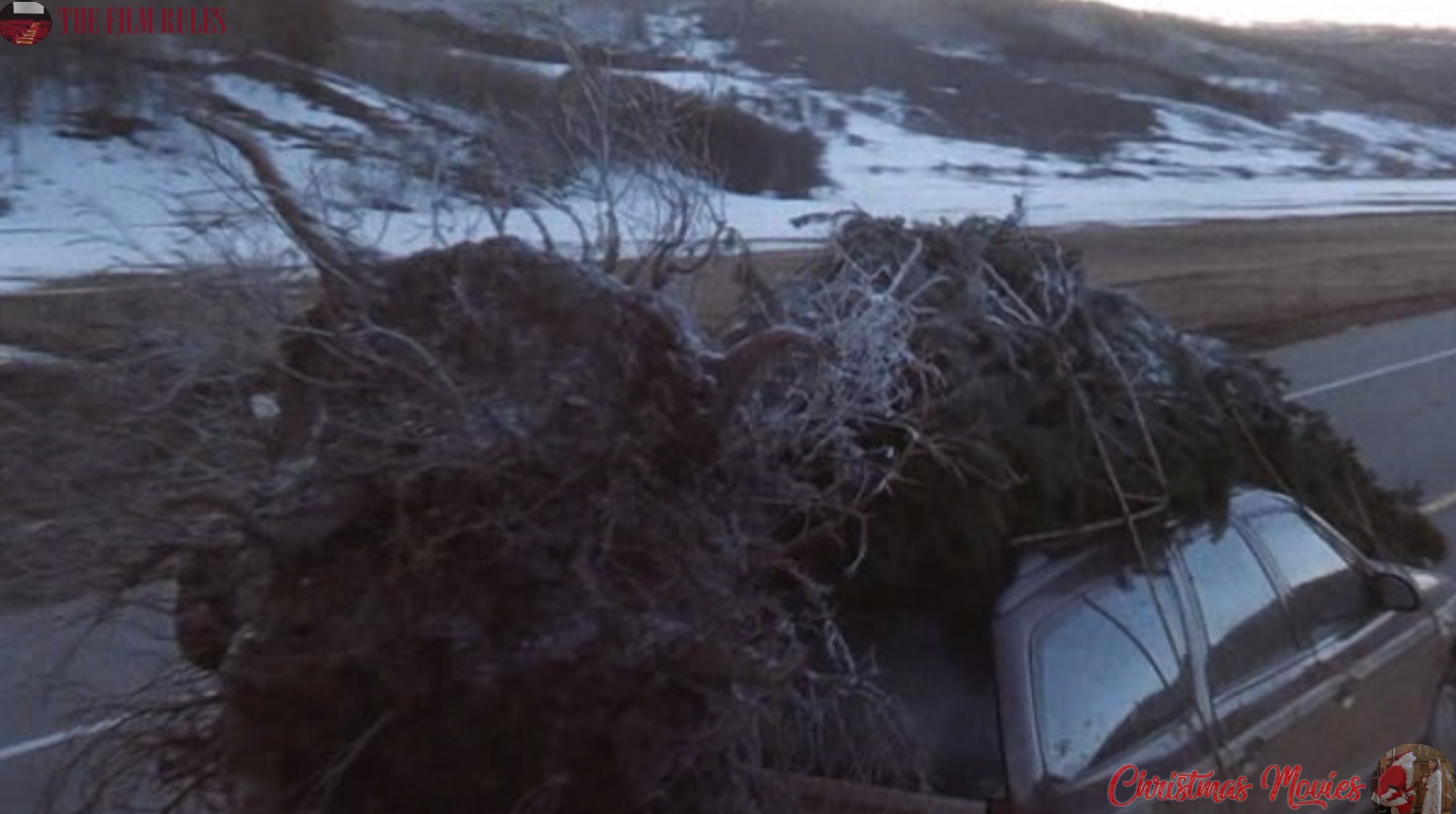 The Film Rules CHRISTMAS MOVIES RULES  National Lampoon's Christmas