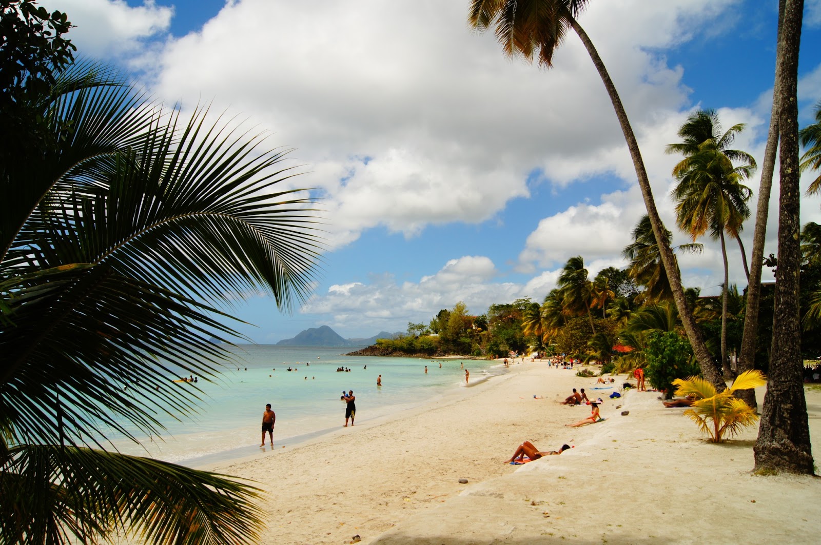 PETITS PARADIS Anse Figuier (RivièrePilote, Martinique)