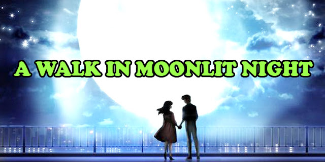 A Walk in Moonlit Night